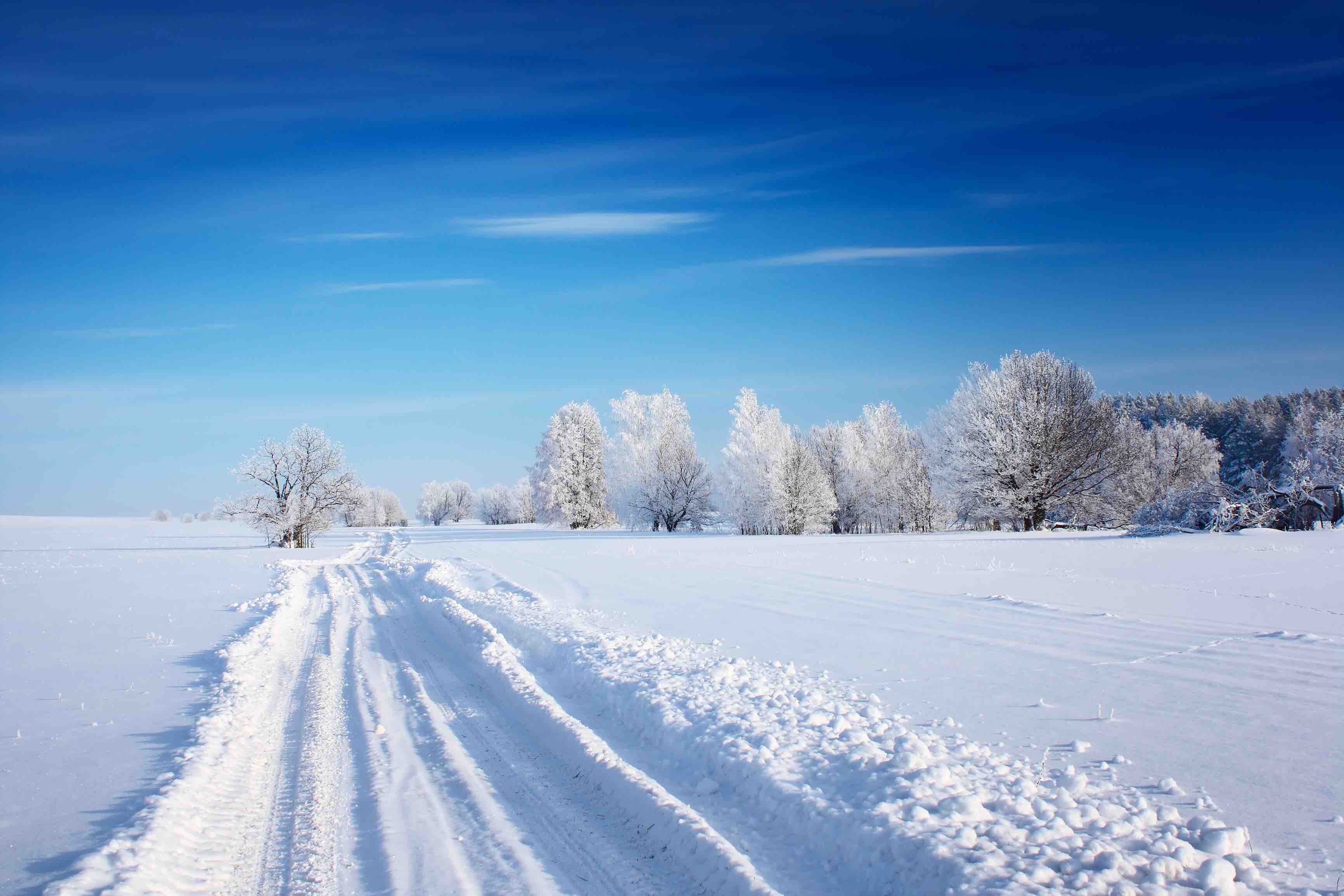 Countryside road through winter field with forest on a horizon